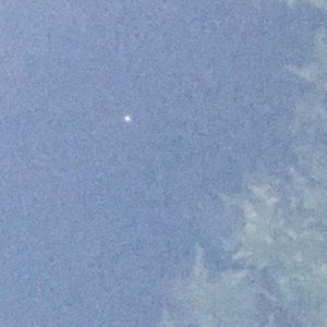 Meet your Posher, Ann